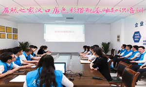 居然之家湖北汉口店色彩搭配基础知识培训